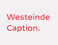 Westeinde Caption Type Family