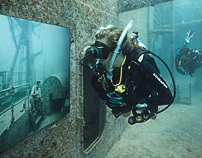 Life Below The Surface - An Underwater Art Exhibition