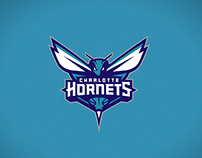 Charlotte Hornets primary logo
