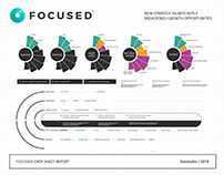 FOCUSED - Half-year Infographic Report