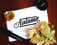 Lettering & Calligraphy