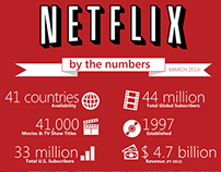 Netflix Infographics Data Viz