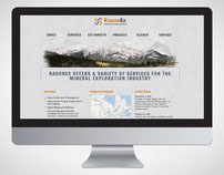 Website design: Radonex