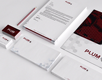 Branding & Website: PLUM energy