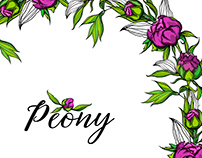 Vector graphics with peony flowers