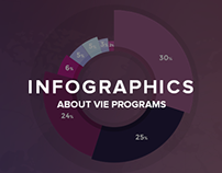 Infographics about VIE programs