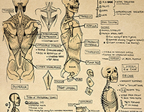Anatomy Sketchbook