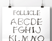 Follicle Font