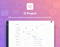 Q Project