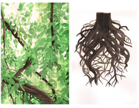 Naturalis Historia: The Natural History of Trees