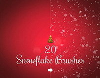 20 Snowflake brushes