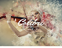 Colibri - WP Theme for Busy Musicians