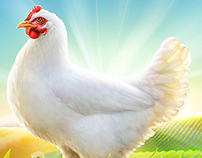Farm Chicken
