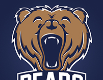 Bears Sports Logo