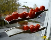 Hanging Tomatoes