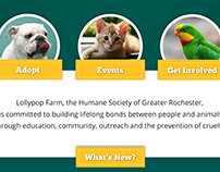 Humane Society Homepage Redesign
