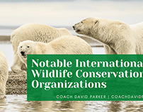 Notable International Wildlife Conservations