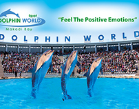 Dolphin Show Flyer