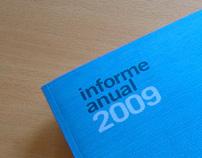 Insurance report 2009 - SURNE