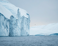 Disko Bay and the Melting Icebergs of Greenland