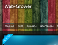 Web-Grower concept