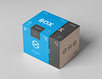 Carton Box Mock-up 100x100x100 & Wrapper