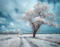 Magical landscapes. Infrared. Poland