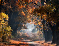 Autumn. Poland