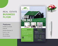 Real Estate Business flyer