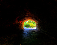 Tunnel to Nature
