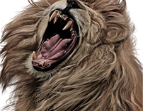 The roar of the lion