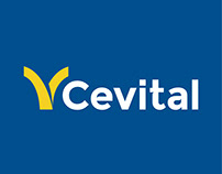 web design : Groupe CEVITAL