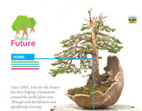 trees for the future website