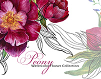 Watercolor romantic flower collection with peony flower