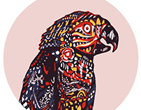 Parrot in Zentangle Art