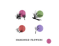 Valley Flowers II. Visual Study for Wine Concept.