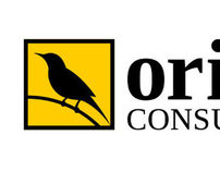 Oriole Consulting - corporate visual identity