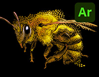 Insects with augmented reality...