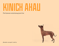 Дизайн-концепт сайта Kinich Ahau