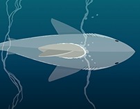 Shark Week Infographics