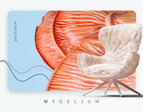 Pitch deck | Mycelium | Sustainable
