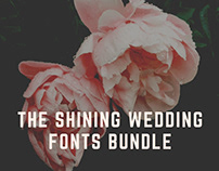The Shining Wedding Fonts Bundle: 115+ Unique Fonts