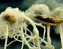 AI Art - Fungal Spores