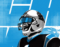 Panthers Illustrations / 2017