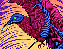 Bird illustration for "Yoga Culture" studio