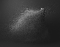 Fur: Whole Body Motion I, I