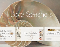 I love seashells