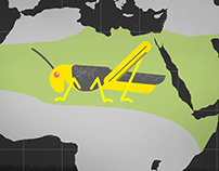 Vox Dot Com - Why Locusts are Descending on East Africa