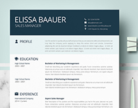 Professional & Modern Resume Template for Word & Pages