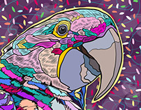 Macaw Bird Illustration